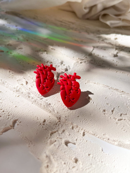Anatomical Heart Studs