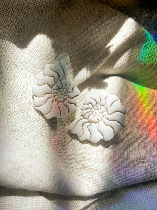 Nautilus Shell Studs